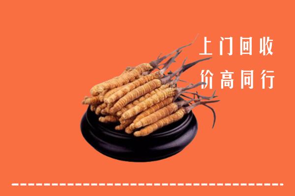 高价求购：滨江区回收散虫草